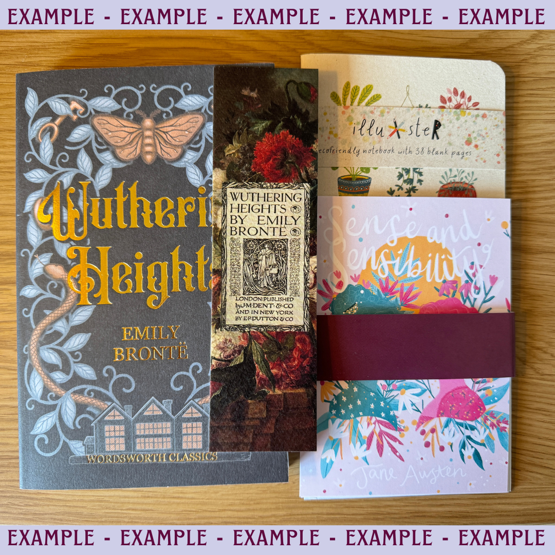 Mystery Bag | Book(ish) Goodies!